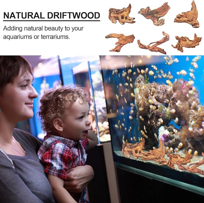 Natural Driftwood Decor for Aquarium Decorations Reptile Tank Accessories - Image 2