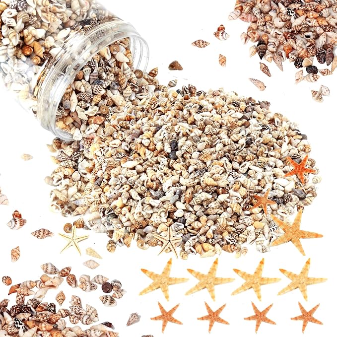 WEOXPR 2000 Pcs Tiny Sea Shells & Starfish - Image 8