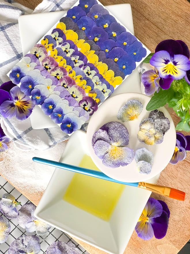48 Pcs Real Natural Viola Pansy Dried Pressed Flowers - Image 4