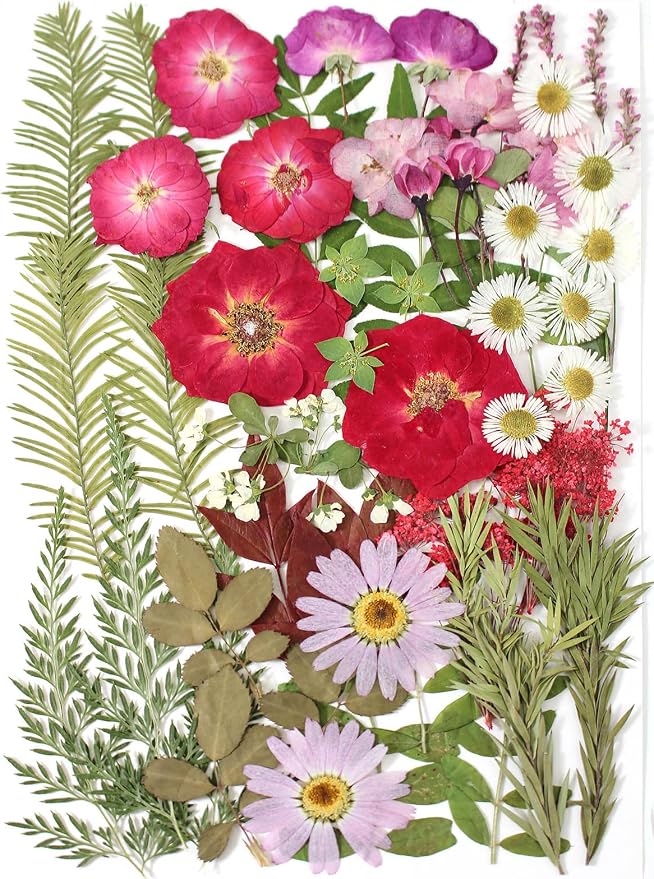 A5 Large Bulk Christmas Dried Pressed Flowers by ZMRU