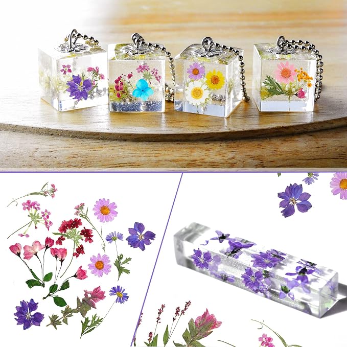Nuanchu Pressed Flowers Bulk Dried Flower - Image 5