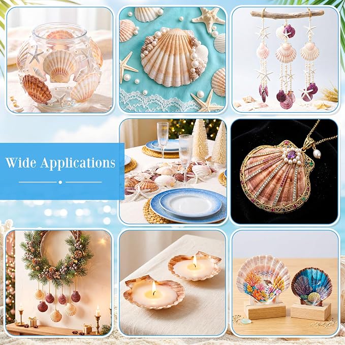 Junkin 40 Pack Natural Scallop Shells and Artificial Starfish - Image 5