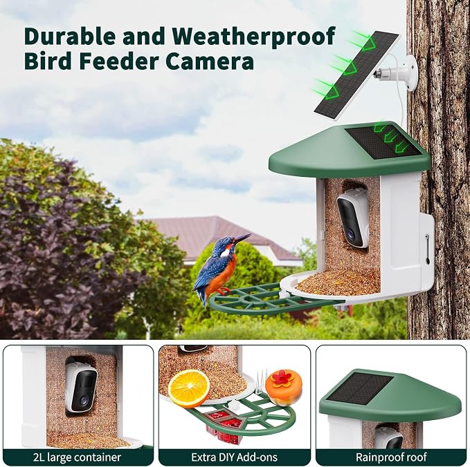 HARYMOR Smart Bird Feeder with Camera - Image 3