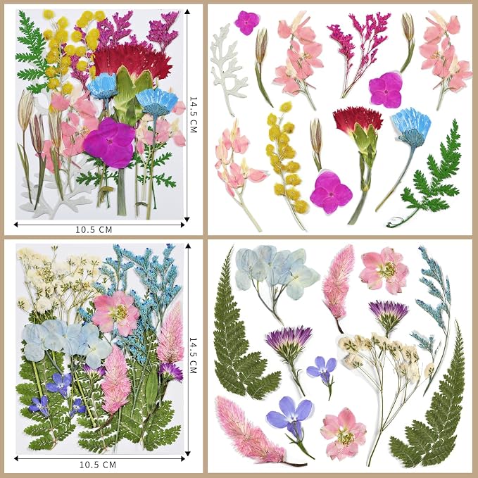 Dried Flowers | 72pcs Natural Pressed Flowers and Leaves - Image 3