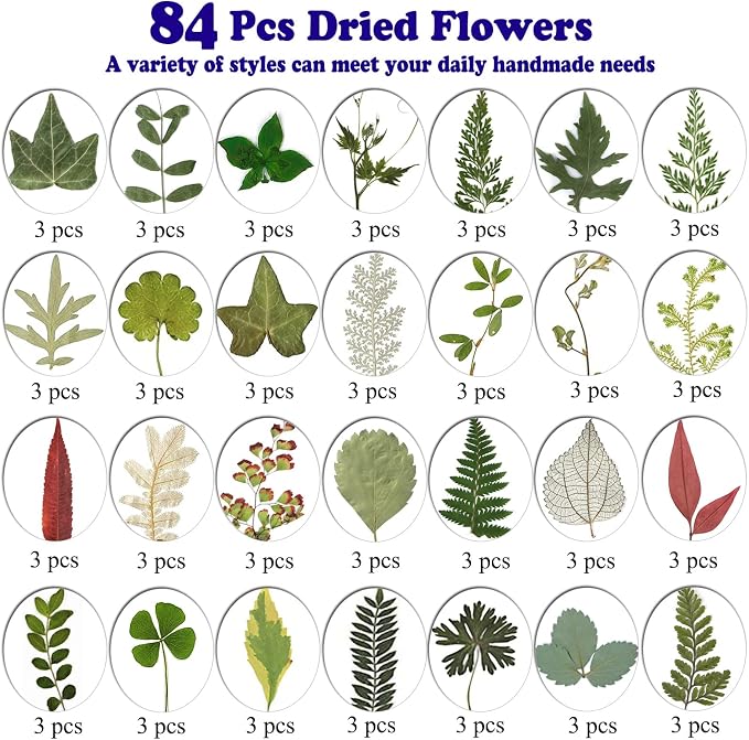 84 Pcs Dried Leaves Pressed Flowers - Image 5