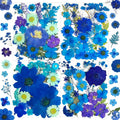 MIKIYA 94Pcs Blue Dried Pressed Flowers by MIKIYA