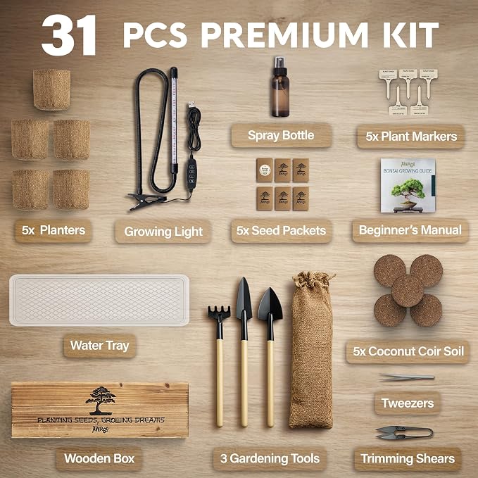 Bonsai Tree Kit Deluxe + Growing Light - Image 7