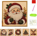 Oanruyan Christmas Pearl Diamond Painting Art Kit by Oanruyan