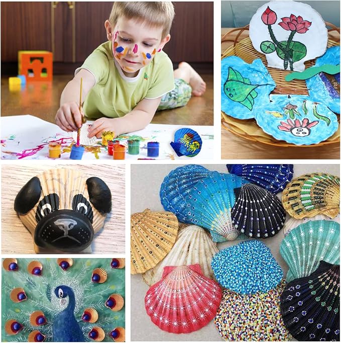 Lucky Baby 25pcs Scallop Shells - Image 4