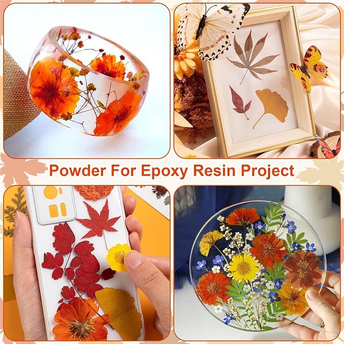 140 Pcs Fall Dried Pressed Flowers - Image 6