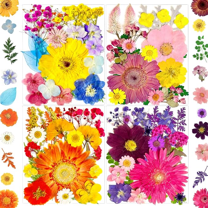 90Pcs Big Dried Pressed Flowers by LUCISKY