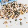 MAQIHAN Tiny Seashells for Crafts by MaqiIhanCustomOfficial