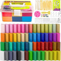 Cyajm 60 Colors Oven Bake Clay Kit, Individually Wrapped | by CyAJM