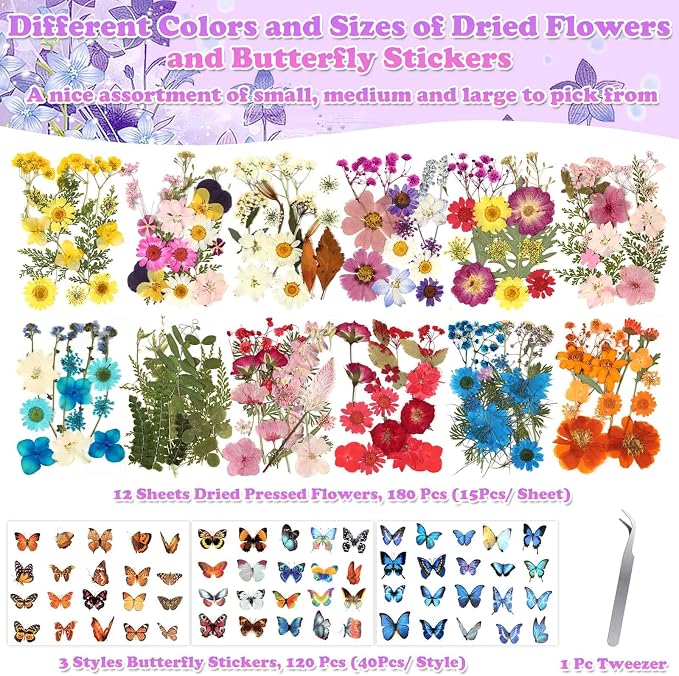 300 Pcs Pressed Dried Flowers - Image 4