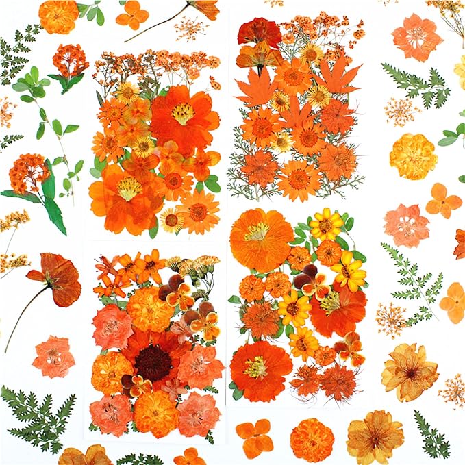 Woohome 4 Pack Dried Flowers for Resin Molds - Image 2