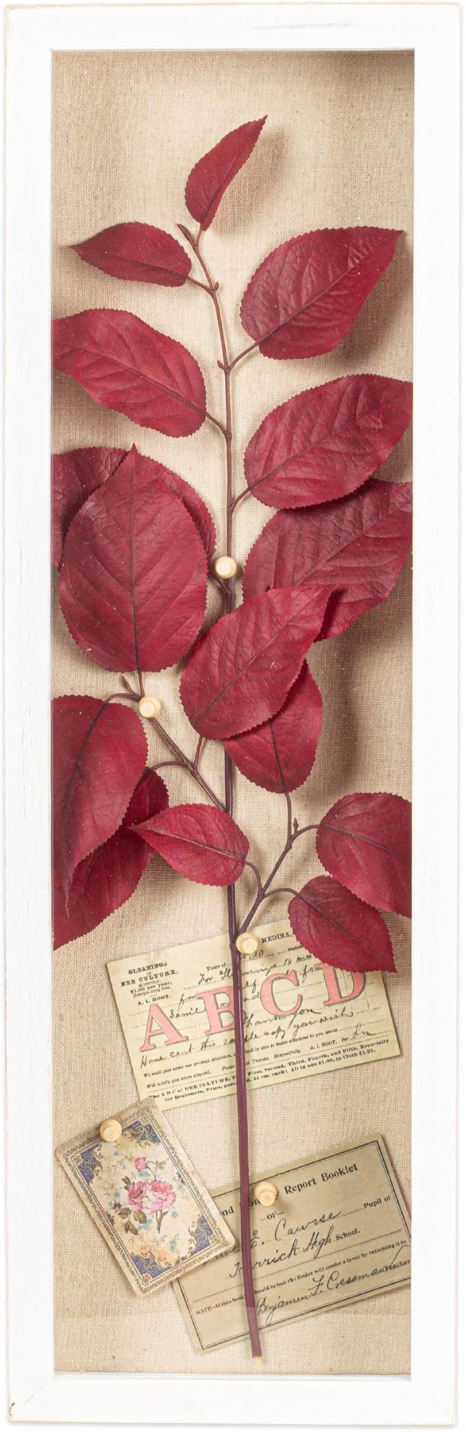 Freezing point Shadow Box Frame 8x25 Flower Shadow Box Pin Display Case Cabinet - Image 2
