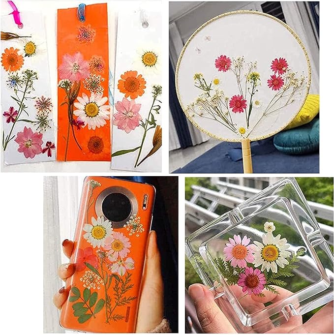 Woohome 4 Packs Real Pressed Flowers - Image 3