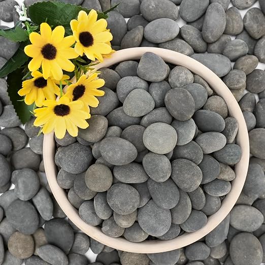 NUPICK 6lb Mexican Beach Pebbles, Smooth Garden Rocks by CreateAmazingChoice