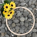 NUPICK 3lb Mexican Beach Pebbles, Smooth Garden Rocks by CreateAmazingChoice