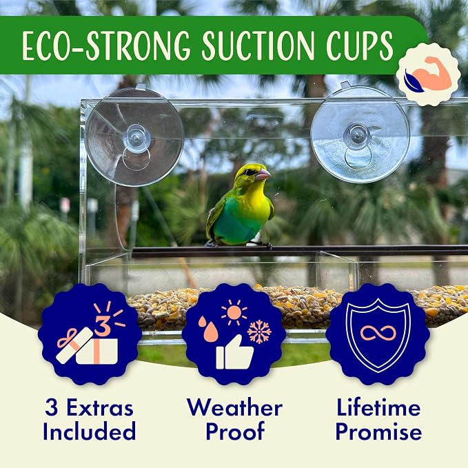 Window Bird Feeder by Nature’s Hangout - Image 3