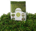 USMOLA 8OZ Fake Green Moss for Crafts, Terrariums, Fairy Gardens & Indoor Plants by USMOLA