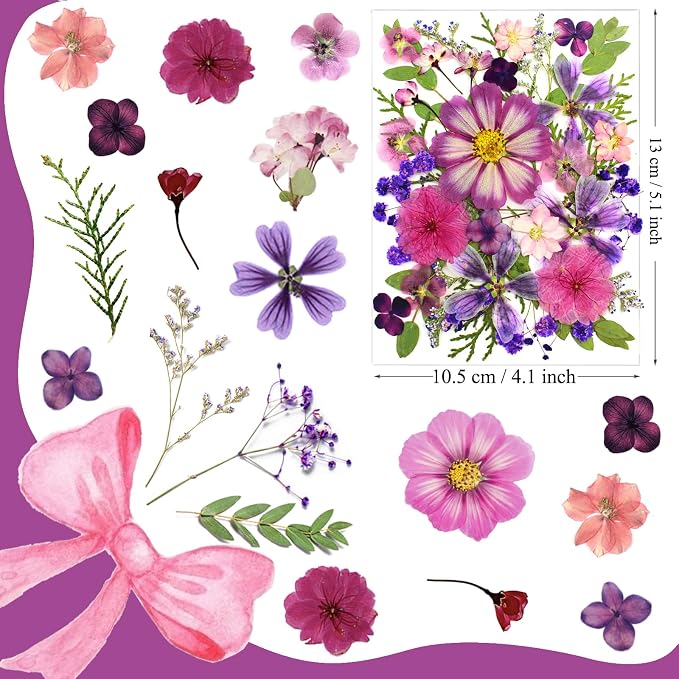 35Pcs Purple Pressed Dried Flowers - Image 5