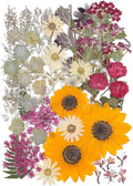 12“ Large Fall Dried Pressed Flowers by ZMRU