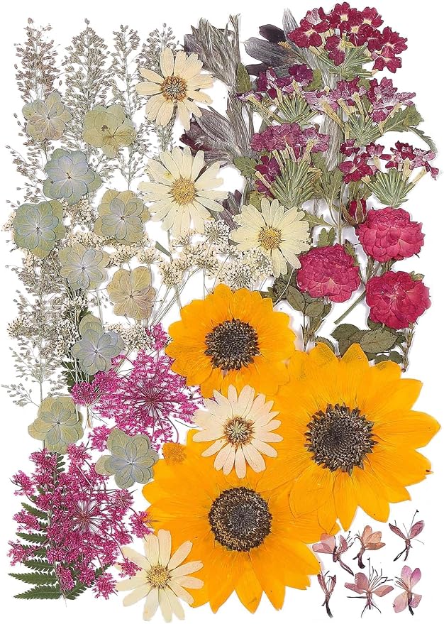 12“ Large Fall Dried Pressed Flowers by ZMRU