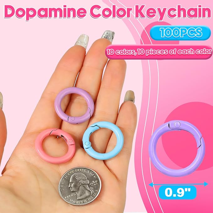 100 Pcs Round Carabiner Keychain Rings Bulk-10 Colors Metal Key Ring Clips - Image 5