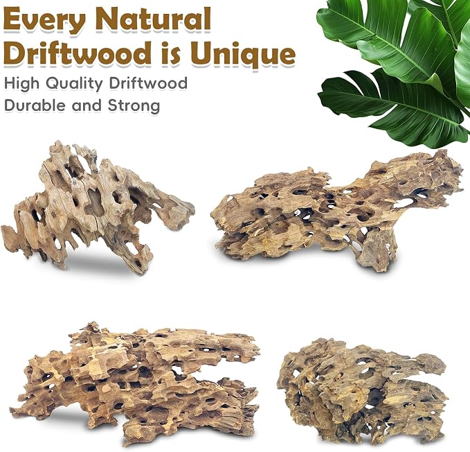 PINVNBY Natural Large Driftwood - Image 7
