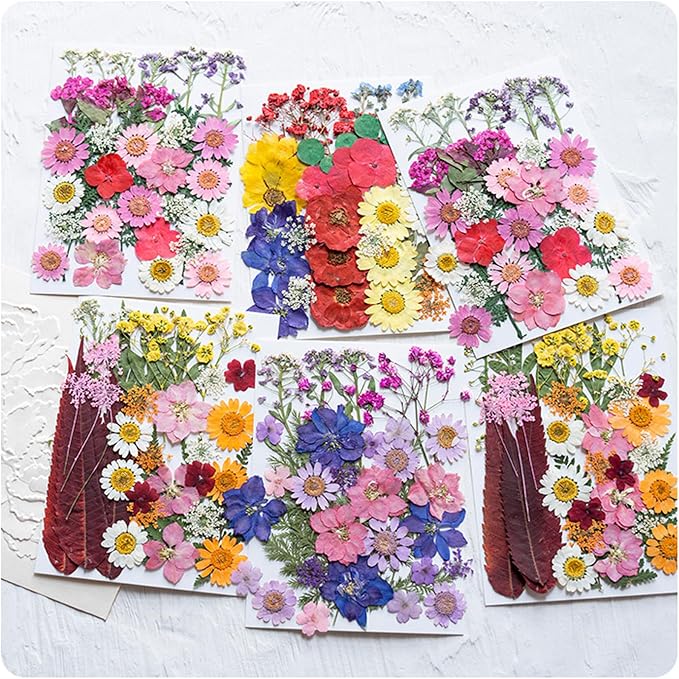 35Pcs Dried Pressed Flowers Leaves - Image 4
