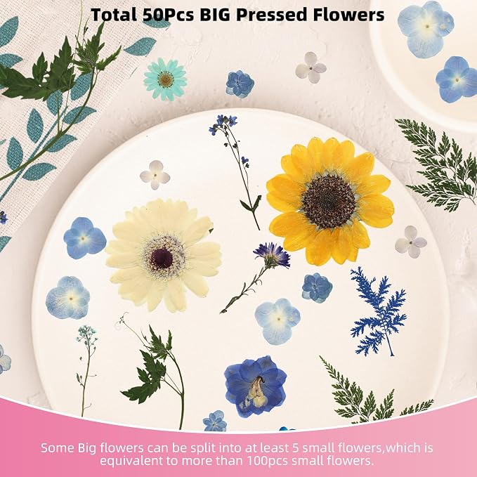 12“ Large Bulk Summer Dried Pressed Flowers - Image 4