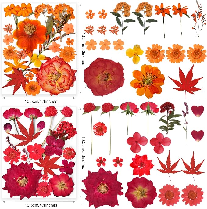 320PCS Dried Pressed Flowers Bulk - Image 6