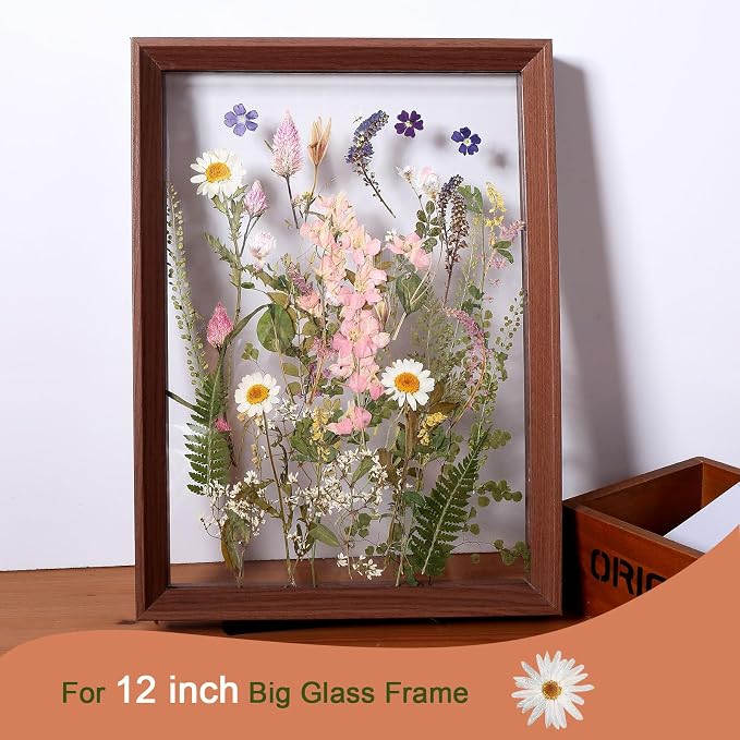 Large Dried Pressed Flowers for Art Crafts, Real Dry Natural Flower Leaf Fruit - Image 6