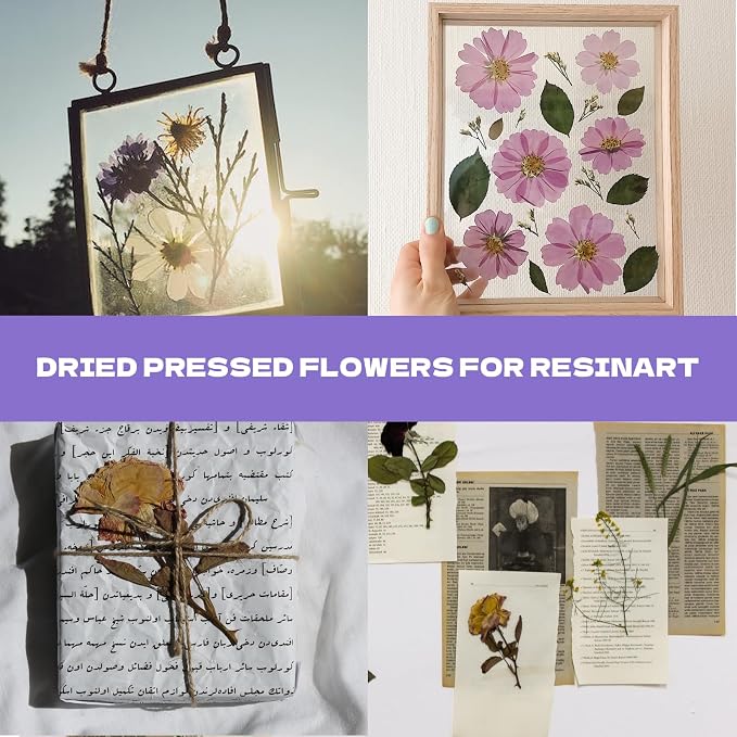 Dried Flowers for Resin 119Pcs | Pink Real Natural Pressed Flowers - Image 4