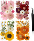 Nuanchu Dried Pressed Flowers Bulk by Nuanchu