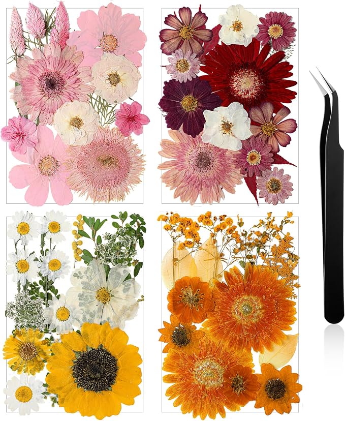 Nuanchu Dried Pressed Flowers Bulk by Nuanchu