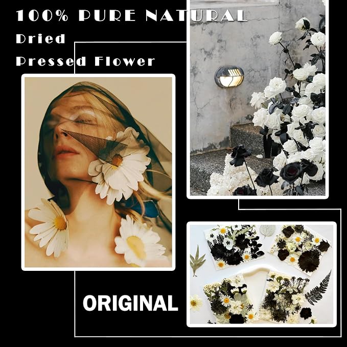 MIKIYA 90Pcs Black Pressed Dried Flowers - Image 2