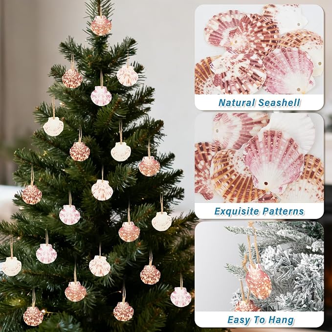 SINKOO 30PCS Scallop Shells, Natural Seashells 1.7"-2.6" - Image 4