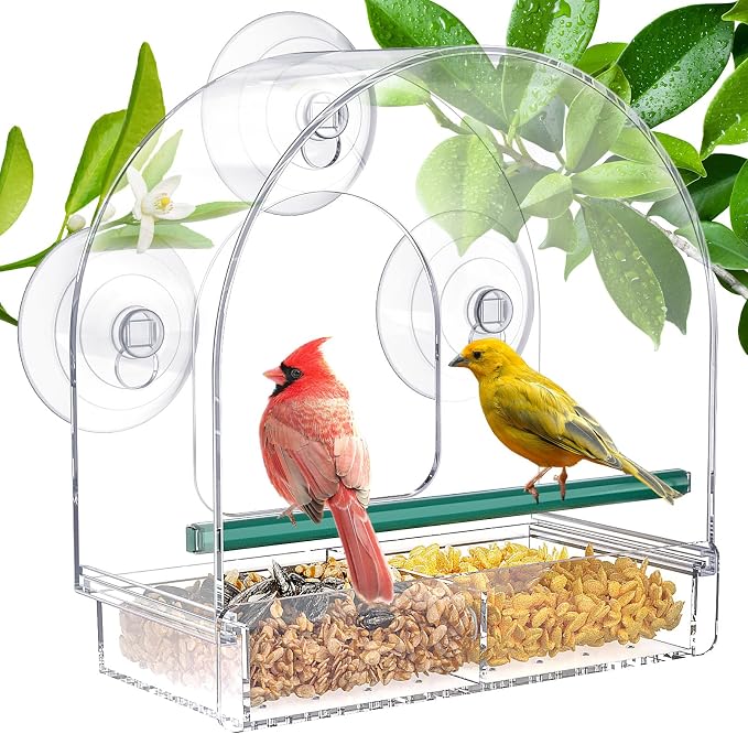 SUNALLY Window Bird Feeder for Outdoors, Fummingbird Feeder for Viewing Inside by SUNALLY