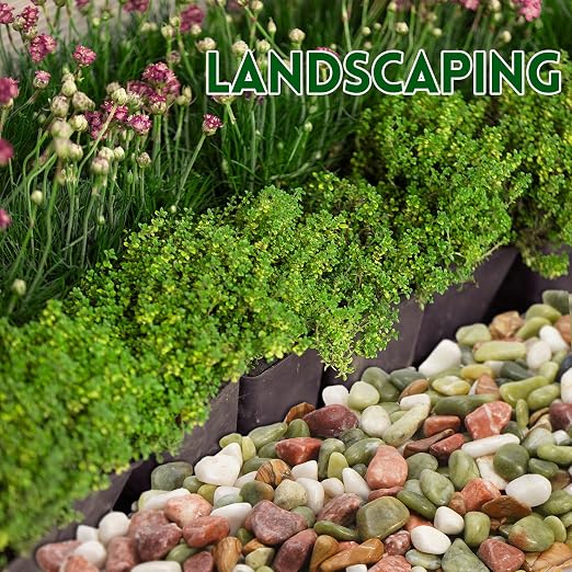 10 lb Pebbles for Indoor Plants, 1/2 Inch Decorative Rocks for Potted Plants - Image 5