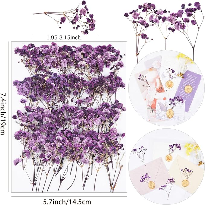 50Pcs Babys Breath Dried Pressed Flowers - Image 2