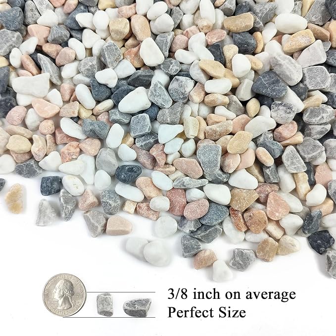 FANTIAN 5 lbs Succulent and Cactus Pebbles - Image 2