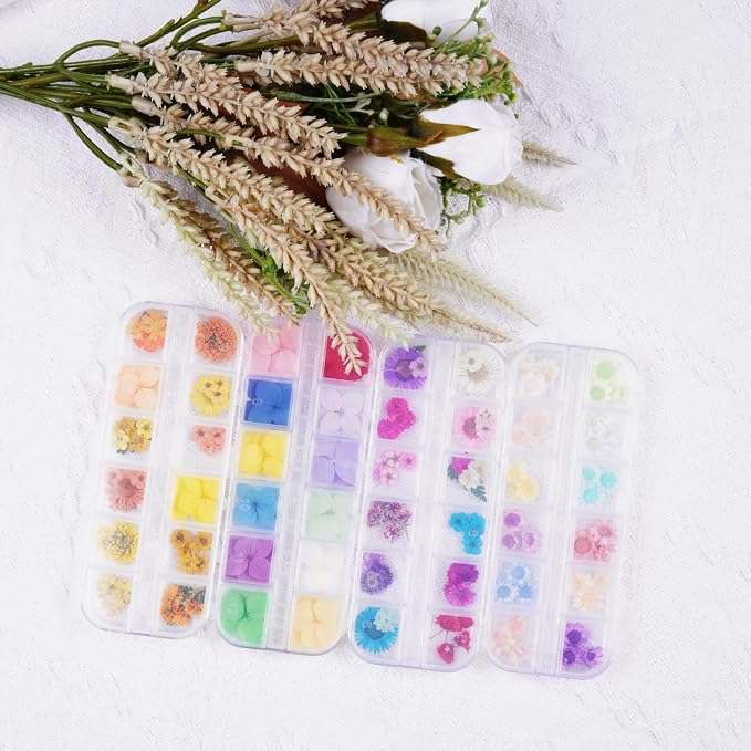 60Pcs Small Dried Pressed Flowers - Image 6