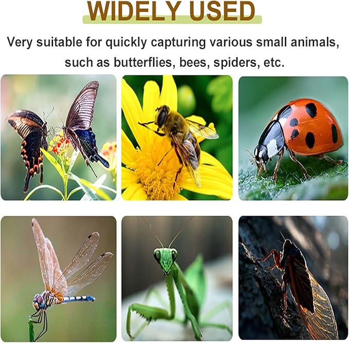 2 Pcs DelloidMaz Insect Catcher Small Animals Catcher Nature Exploration Tool - Image 6