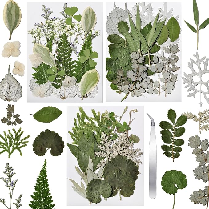 63 Pcs Pressed Leaves, 21 Styles Dried Flowers by CONVELIFE
