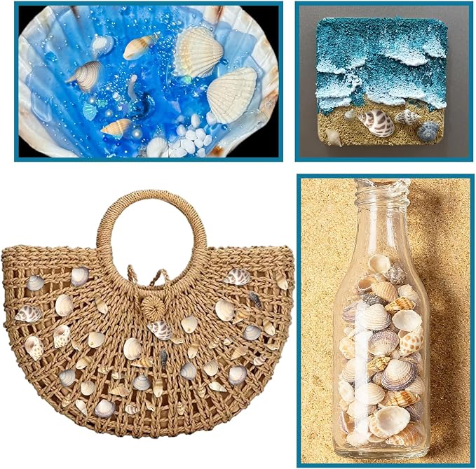 Seashells for Crafts Natural Mixed Seashells, 4 Pack Box, Small Shells for - Image 6
