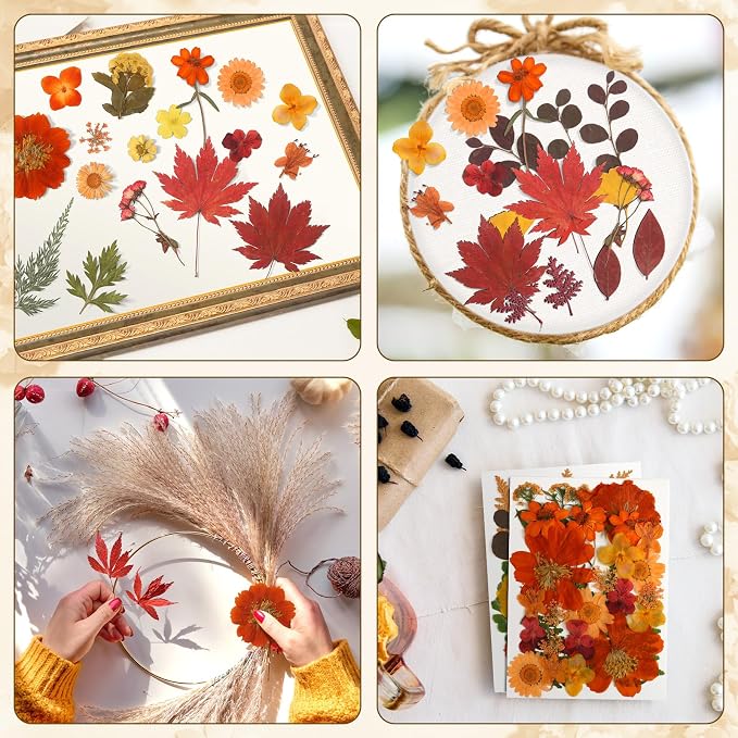 Augshy Fall Dried Pressed Flowers and Leaves - Image 7