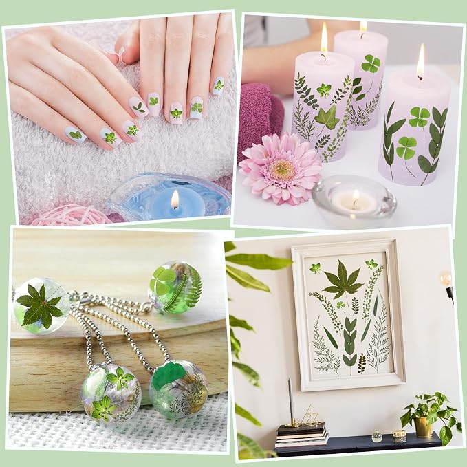 Nuanchu 88 Pcs Pressed Flowers Bulk Dried Flower - Image 5