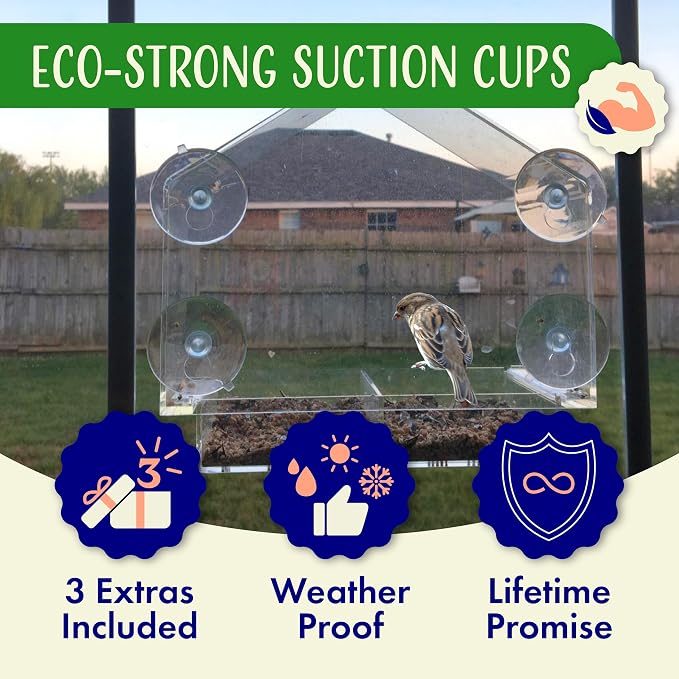 Window Bird Feeder with Strong Suction Cups, Balcony Glass Mount, Acrylic Cat - Image 5
